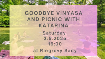 Goodbye Vinyasa + Picnic with Katarina