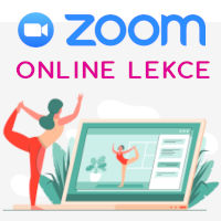  Rozvrh lekcí ZOOM