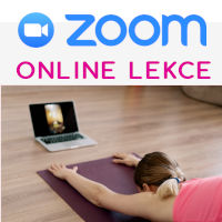  Rozvrh lekcí ZOOM