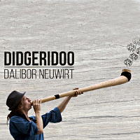 Didgeridoo solo