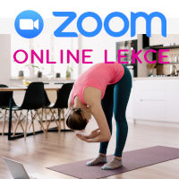  Rozvrh lekcí ZOOM