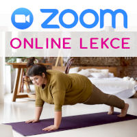  Rozvrh lekcí ZOOM