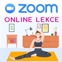  Rozvrh lekcí ZOOM 11.1.2021-17.1.2021