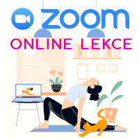  Rozvrh lekcí ZOOM 25.1.2021-31.1.2021