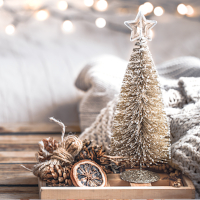  Rozvrh lekcí ZOOM 14.-20.12.